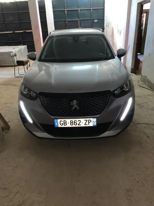 Peugeot 2008 2021 Erg