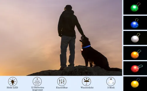 AJOXEL 6 pièces lampe clignotante LED de sécurité à clipser chiens, chats, porte-clés pendentif
