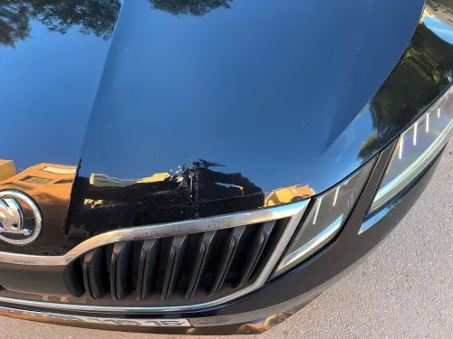 Skoda Octavia 2019 Elegance DGS