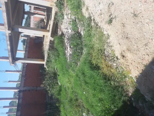 Vente Terrain Alger Douera