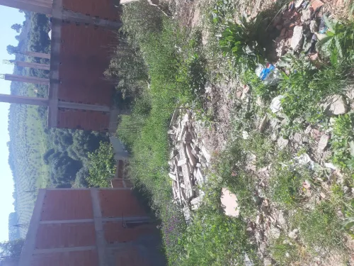 Vente Terrain Alger Douera