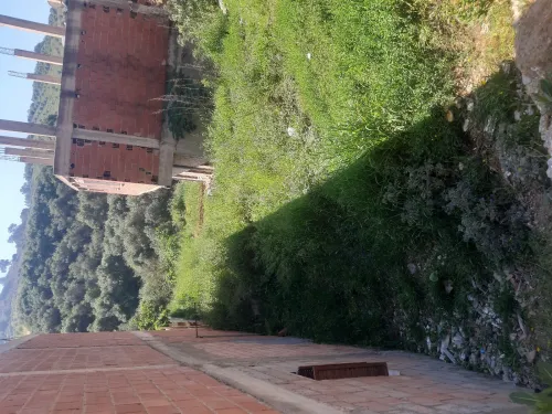 Vente Terrain Alger Douera