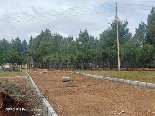 Vente Terrain Sétif Guidjel