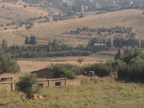 Vente Terrain Blida El affroun