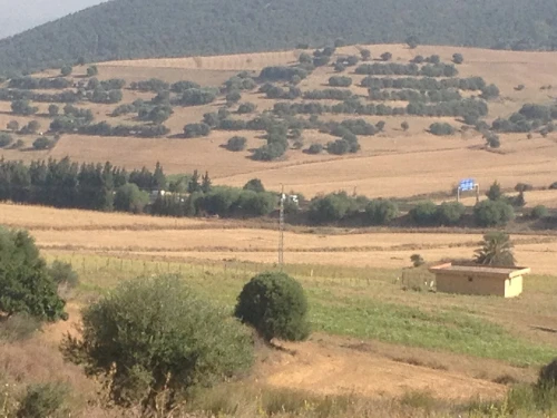 Vente Terrain Blida El affroun