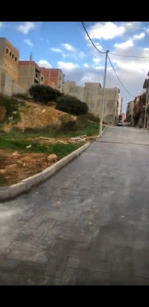Vente Terrain Alger Saoula