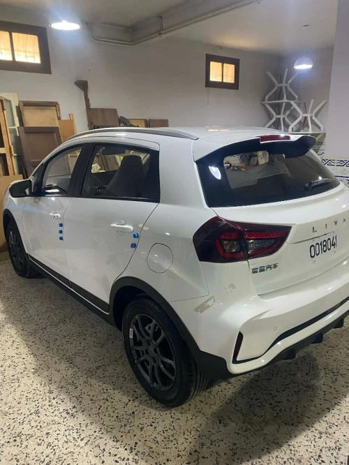 Livan X3 Pro  2026 Toutes options
