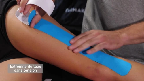Élastique Physio Kinésiologie Muscles