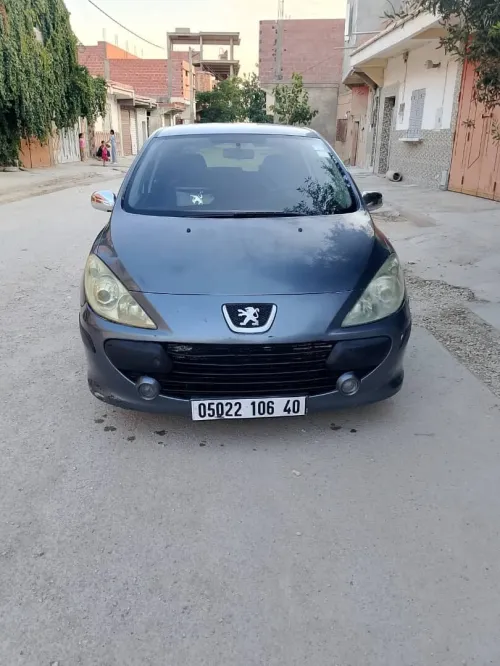 Peugeot 307 2006 307
