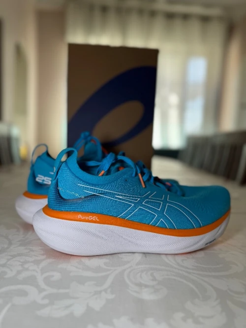 Asics GEL-NIMBUS 25 Original   Pointure : 42.5