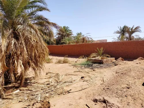 Vente Terrain Timimoun Timimoun