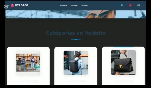dévloppeur site et application web et  mobile