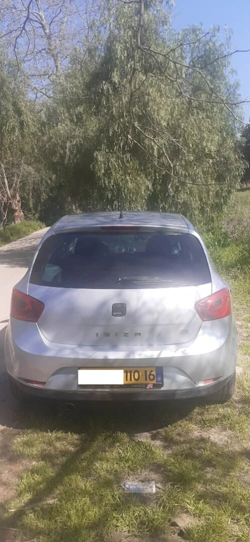 Seat Ibiza 2010 Loca