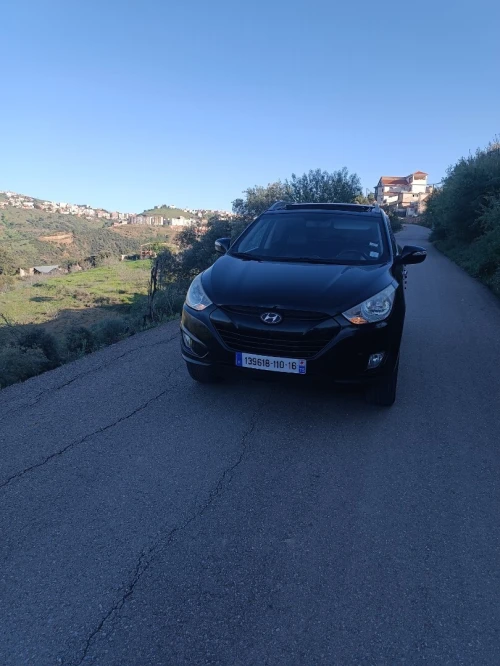 Hyundai Tucson 2011 Tucson