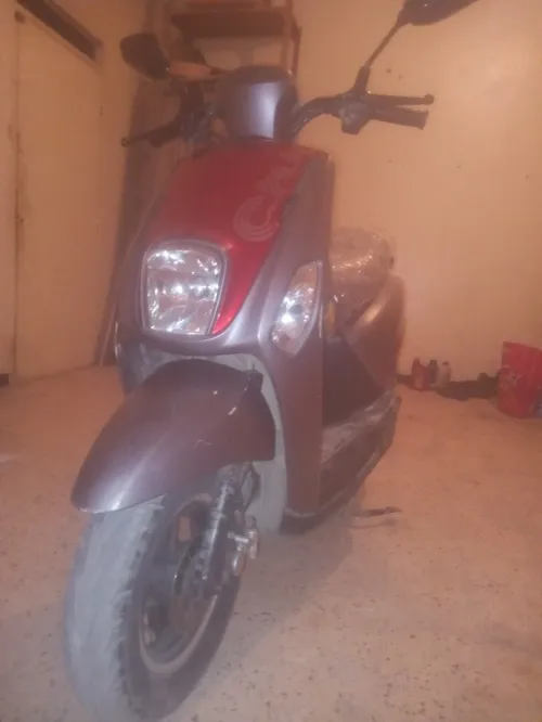 Guxi . 2021