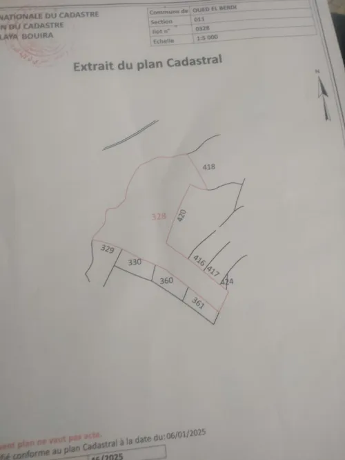 Vente Terrain Bouira Oued el berdi