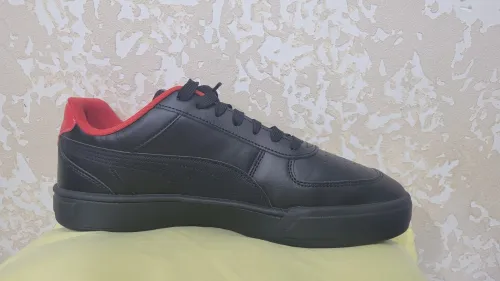 Puma ferari