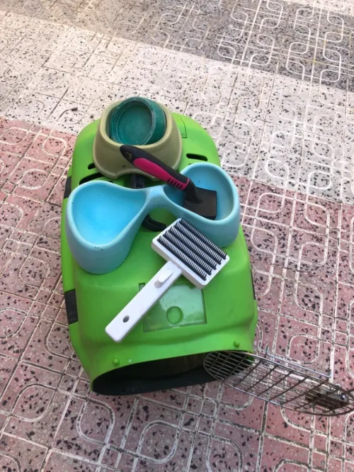 Petit maison pour chat