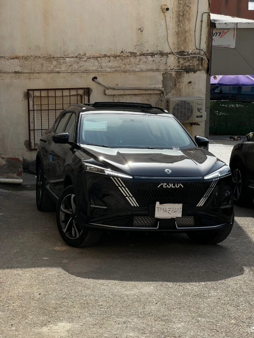 Dongfeng  Mega 2026 320T