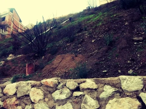 Vente Terrain Tizi Ouzou Ain el hammam