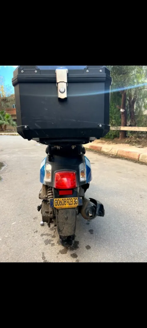 Sym Tonik 2023