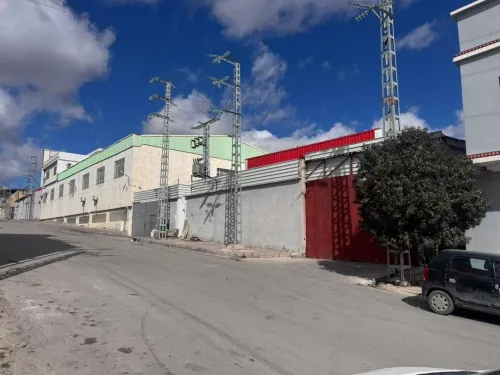 Vente Hangar Sétif Setif