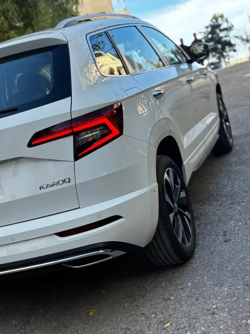 Skoda Karoq 2025 