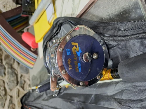 Canne à pêche de jig+moulinet 