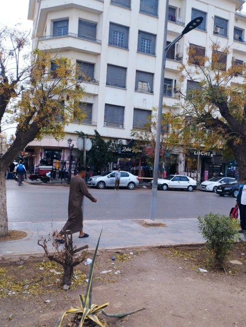 Vente Appartement F4 Sidi Bel Abbès Sidi bel abbes