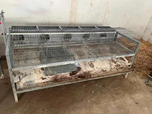 Cages lapins