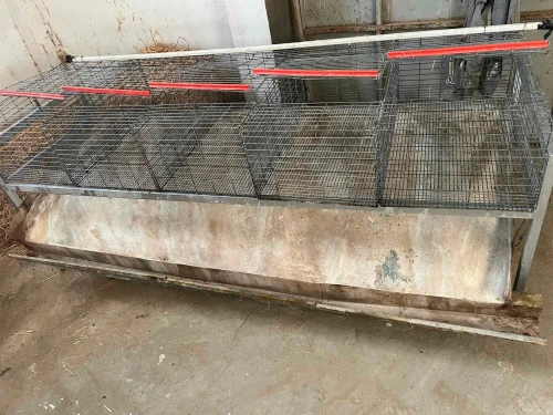 Cages lapins