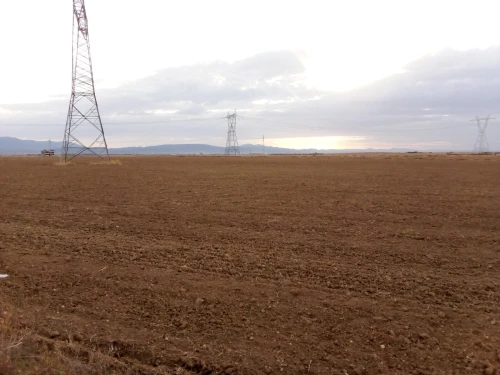 Vente Terrain Agricole Khenchela Remila