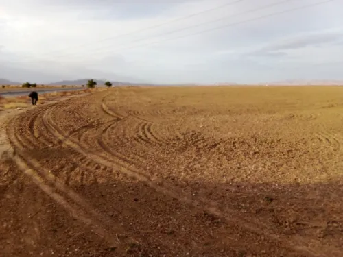 Vente Terrain Agricole Khenchela Remila