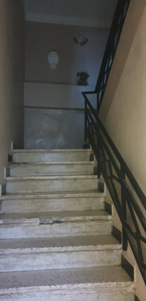 Vente Villa Alger Les eucalyptus
