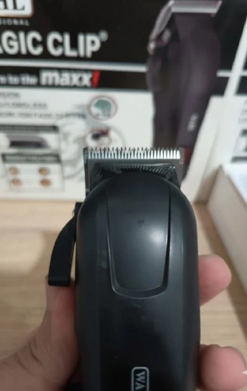 Tondeuse Marque Wahl