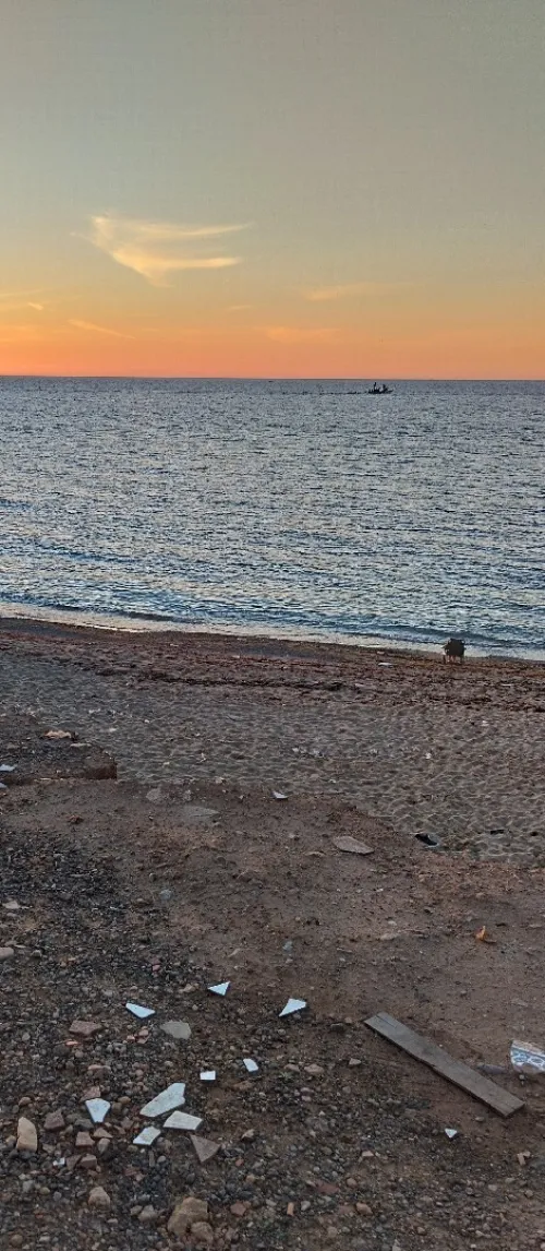 Location Appartement F3 Tipaza Bou ismail