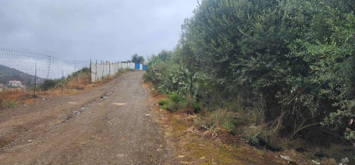 Vente Terrain Tizi Ouzou Boghni