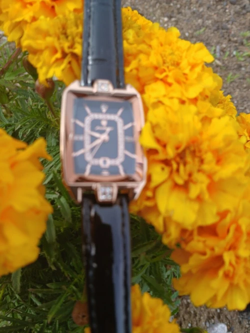 Montre Poedagar originale