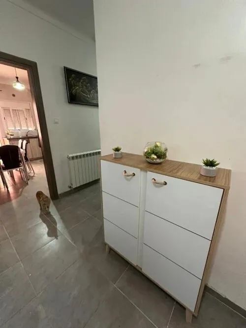 Location Appartement F3 Alger Cheraga