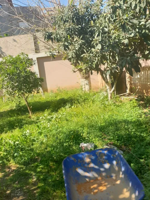 Echange Villa Blida Larbaa