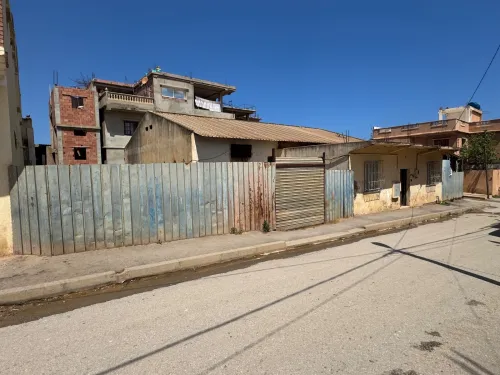 Vente Hangar Chlef Tenes