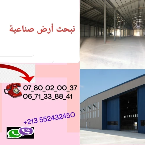 Cherche achat Terrain Chlef Chlef
