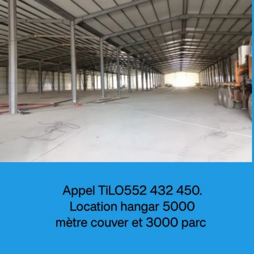 Location Hangar Alger Les eucalyptus