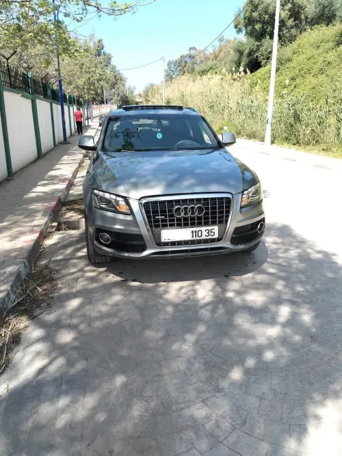 Audi Q5 2010 
