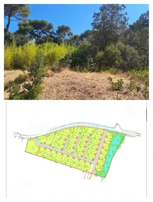 Vente Terrain Boumerdès Tidjelabine