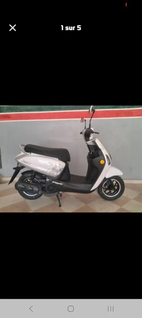 Vms Estate x 2025