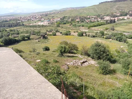 Vente Terrain Constantine Constantine