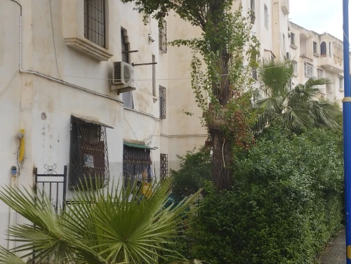 Vente Appartement F3 Constantine Hamma bouziane