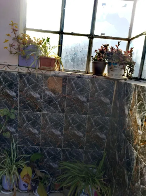Vente Villa Médéa Medea