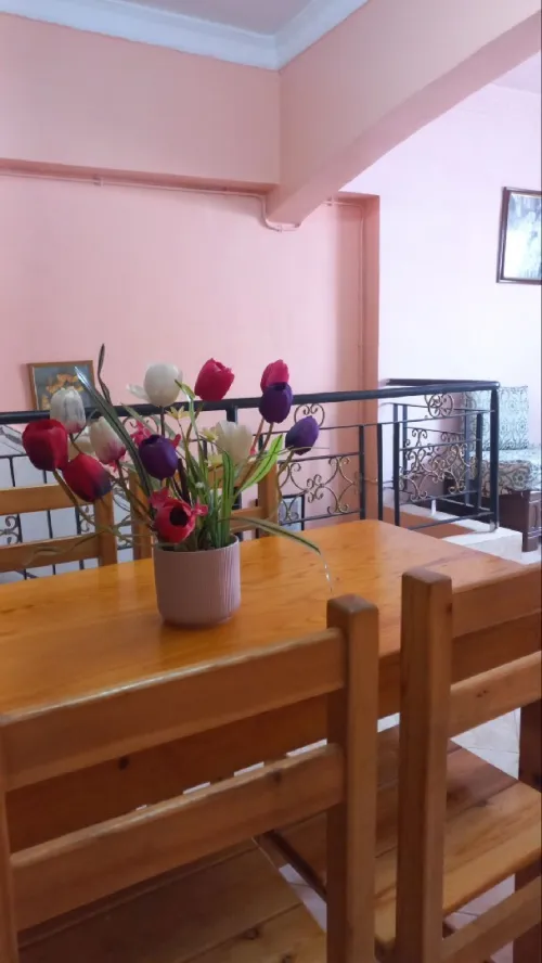 Location vacances Appartement Niveau de villa F2 Alger Alger centre